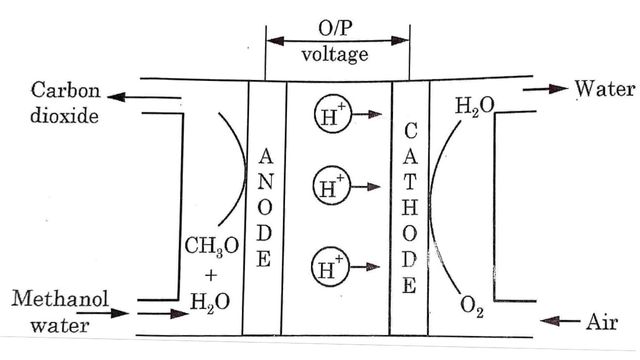 Direct Methanol Fuel Cell