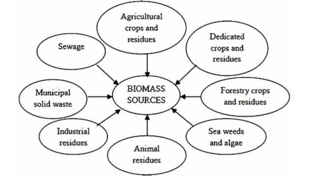 Biomass resources