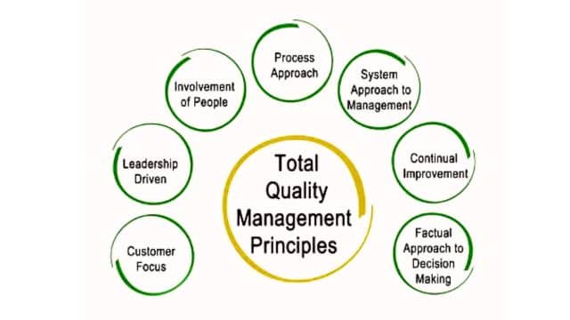 Principles of TQM