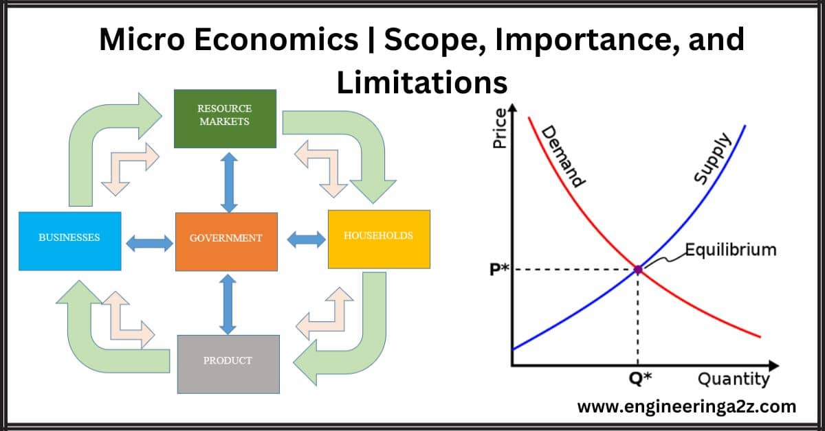 Micro Economics | Scope, Importance, and Limitations