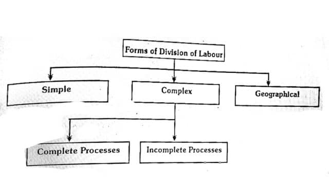 Forms of division of Labour