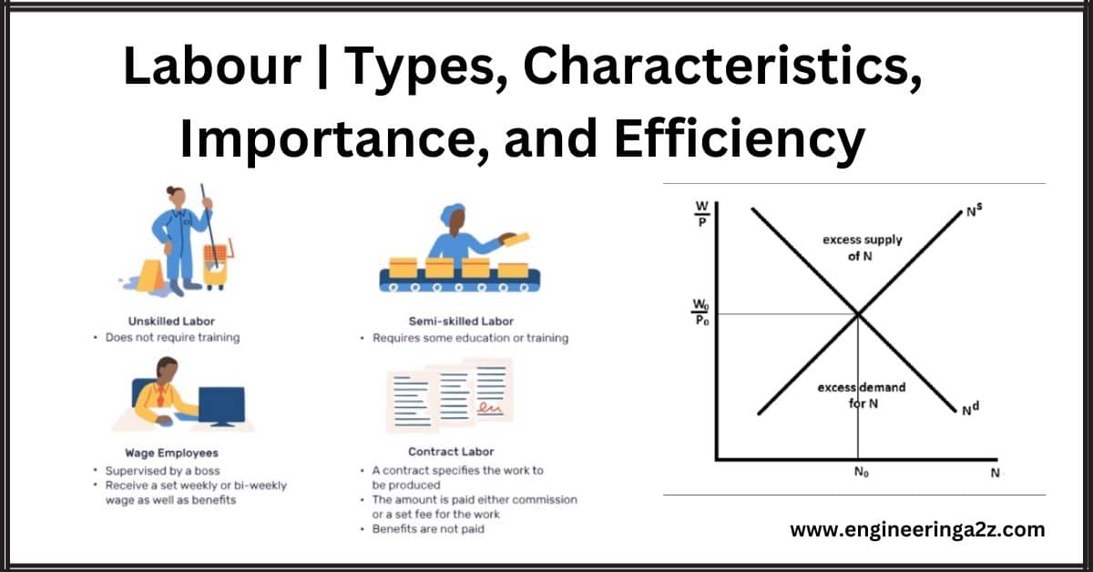 Labour | Types, Characteristics, Importance, and Efficiency