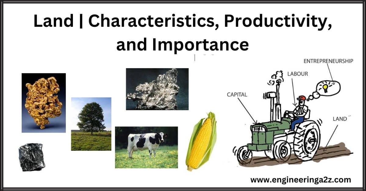 Land | Characteristics, Productivity, and Importance