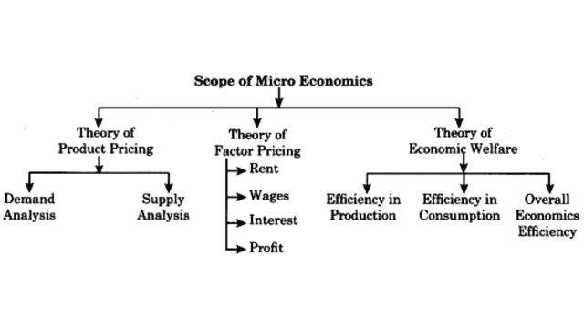 Scope of Micro Economics 